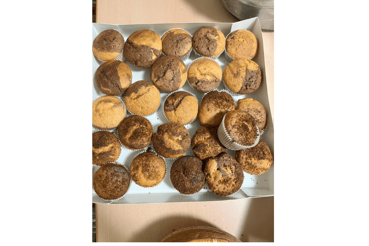 Starter Dance Workshop Friedberg – Bild 14